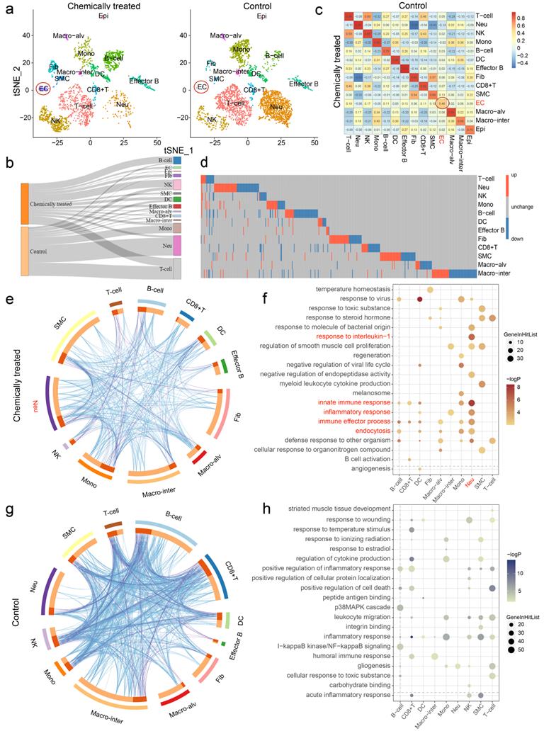 Int J Med Sci Image