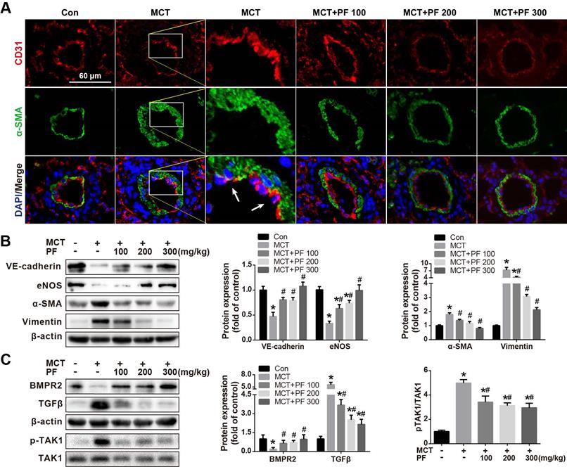 Int J Med Sci Image