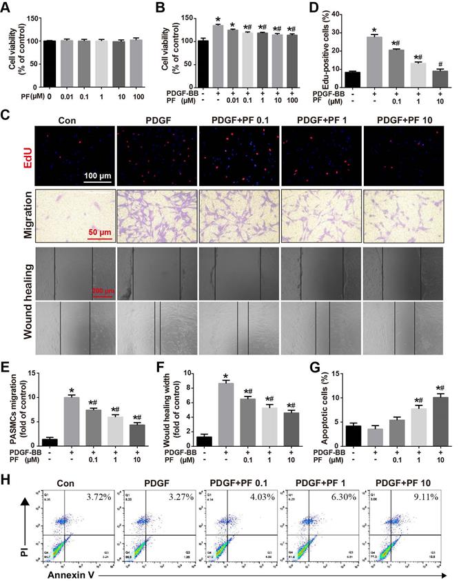 Int J Med Sci Image