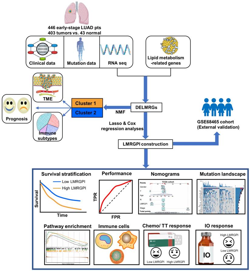 Int J Med Sci Image