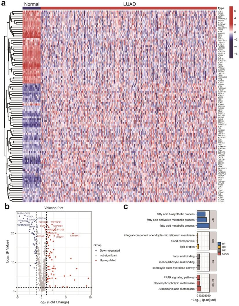 Int J Med Sci Image