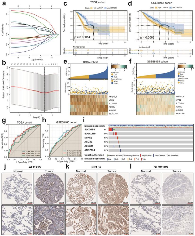 Int J Med Sci Image