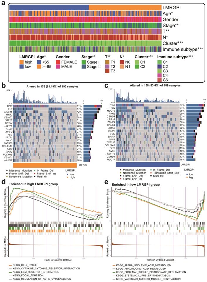 Int J Med Sci Image