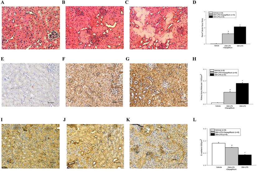 Int J Med Sci Image