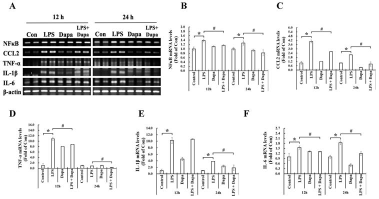 Int J Med Sci Image