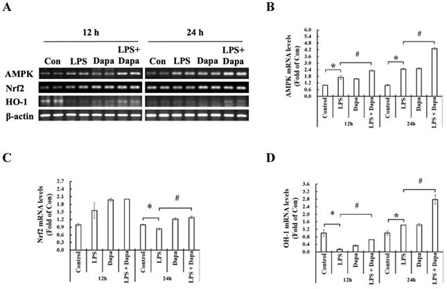 Int J Med Sci Image