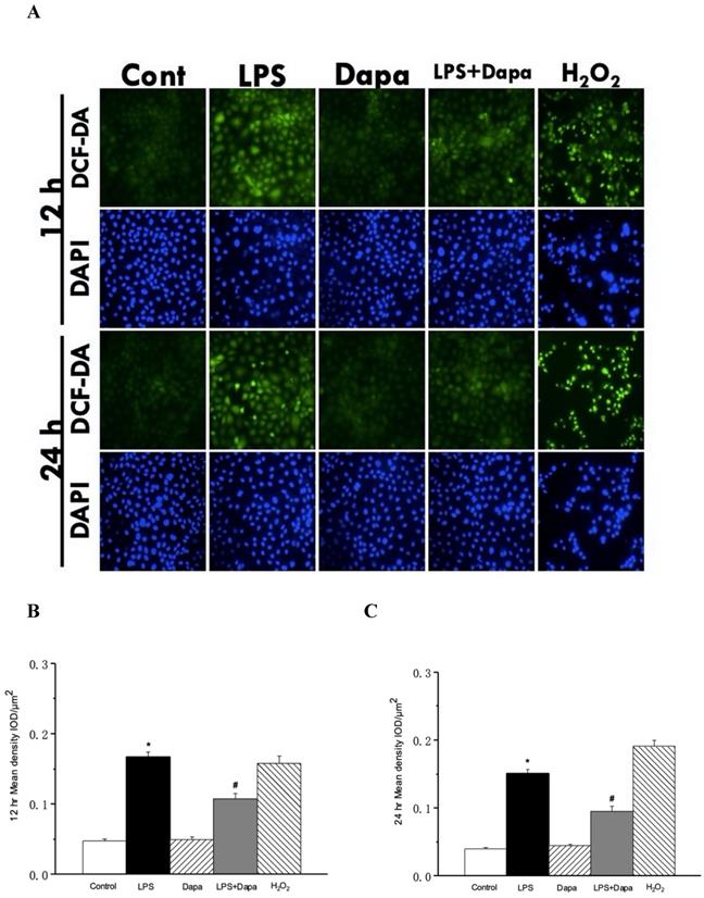 Int J Med Sci Image