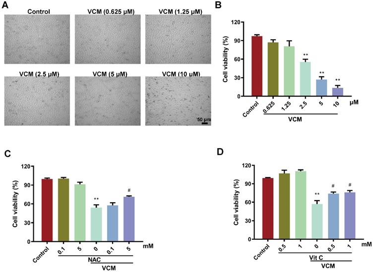 Int J Med Sci Image