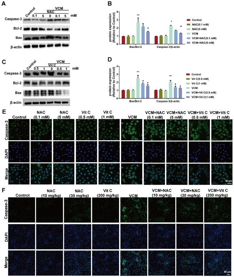 Int J Med Sci Image