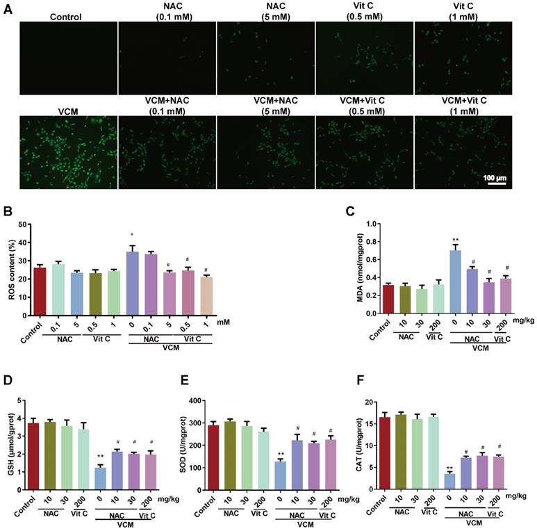 Int J Med Sci Image