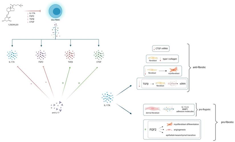 Int J Med Sci Image