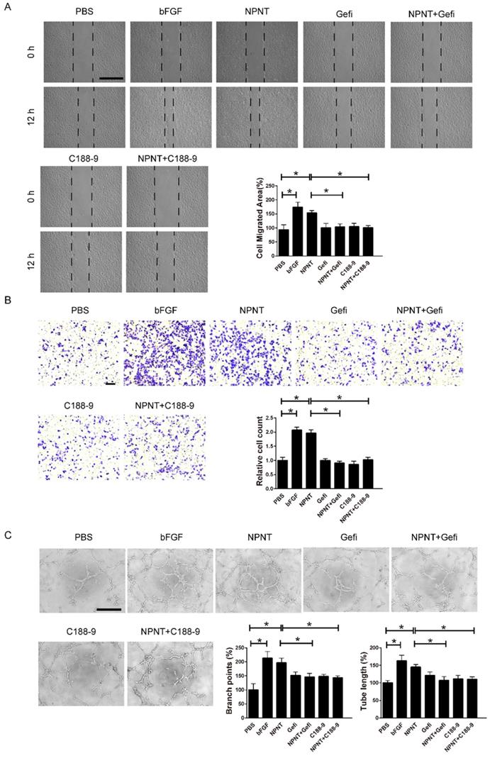 Int J Med Sci Image