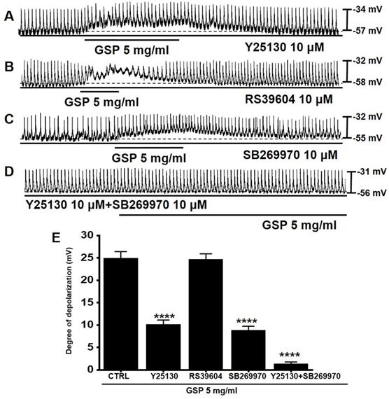 Int J Med Sci Image