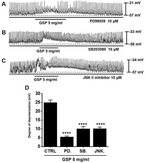 Int J Med Sci Image