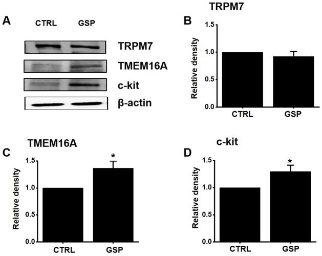 Int J Med Sci Image