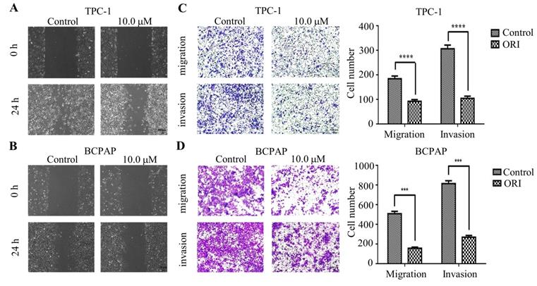 Int J Med Sci Image