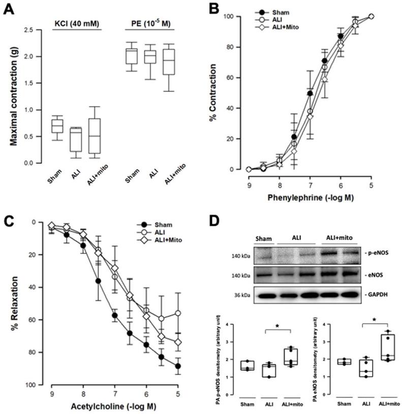 Int J Med Sci Image