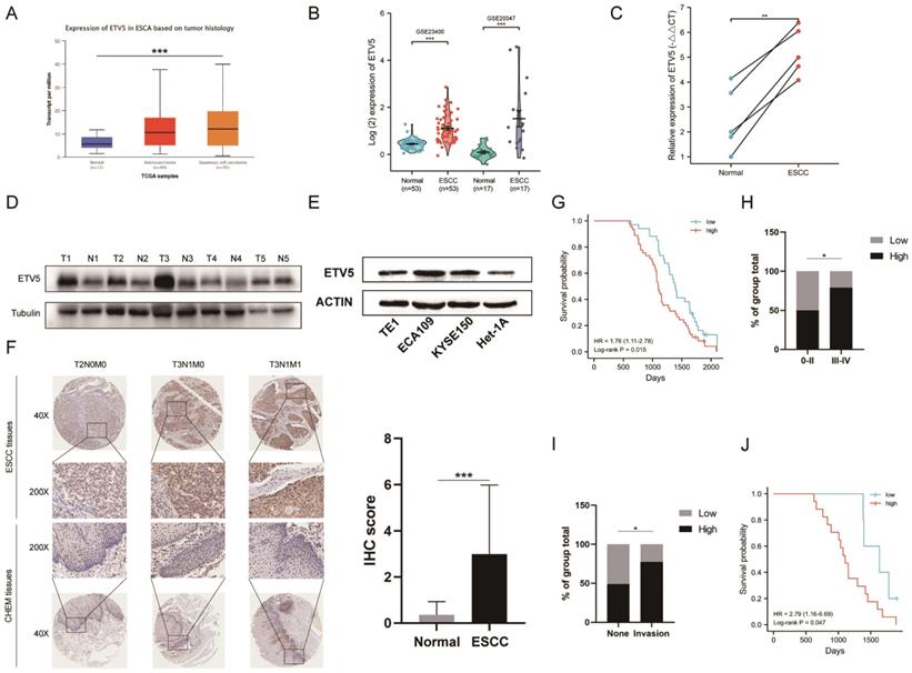 Int J Med Sci Image