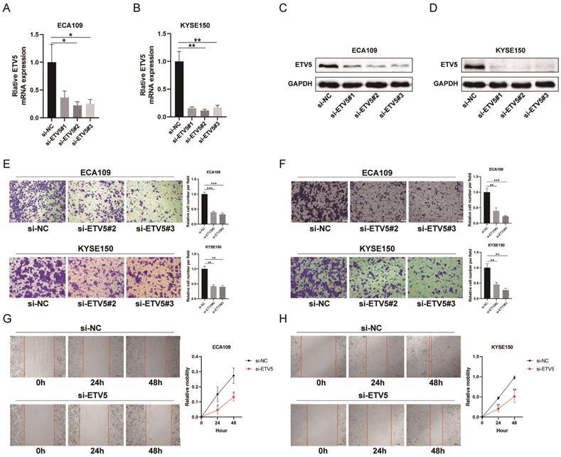 Int J Med Sci Image