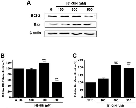 Int J Med Sci Image