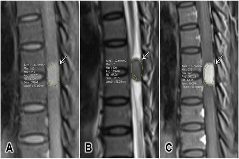 Int J Med Sci Image