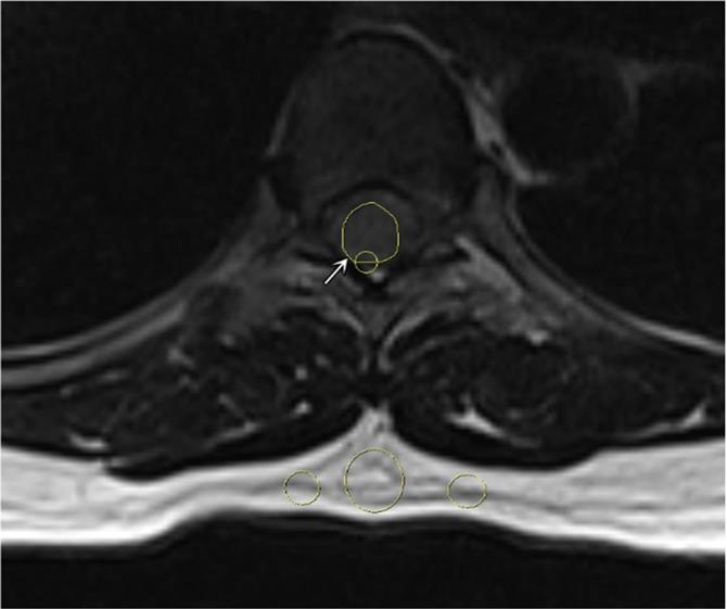 Int J Med Sci Image