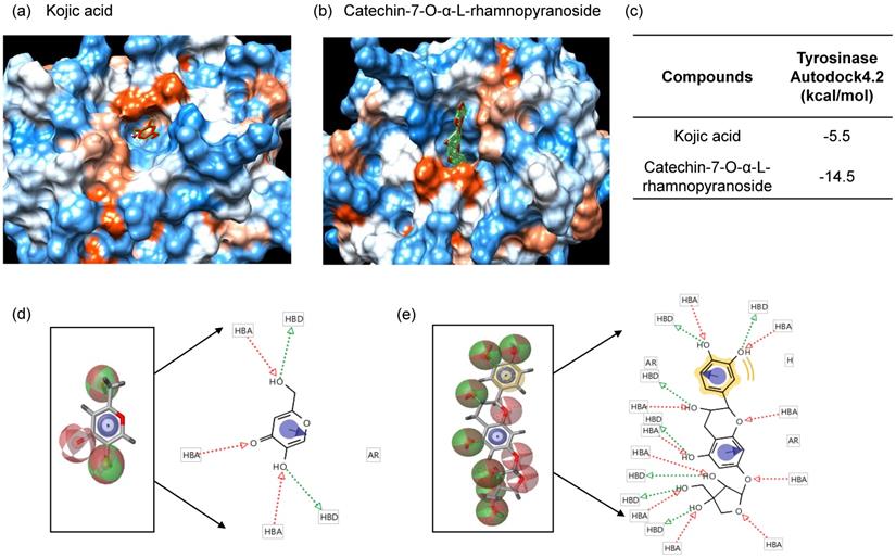 Int J Med Sci Image