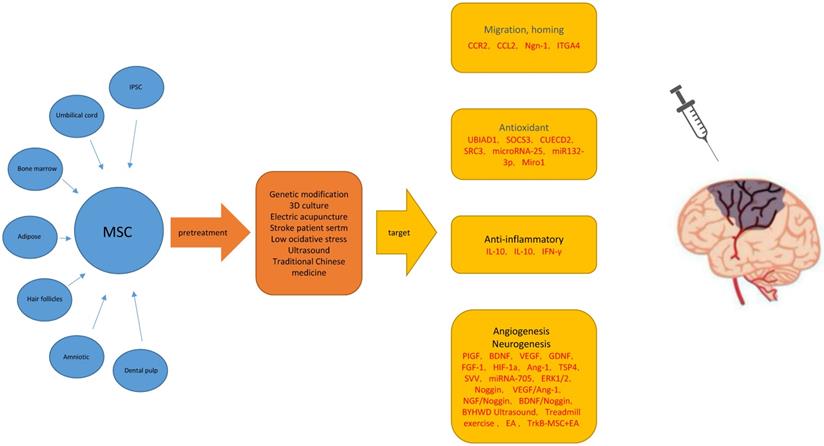 Int J Med Sci Image