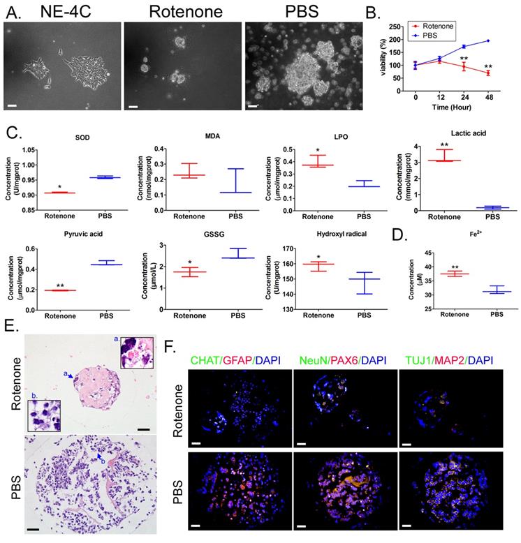 Int J Med Sci Image