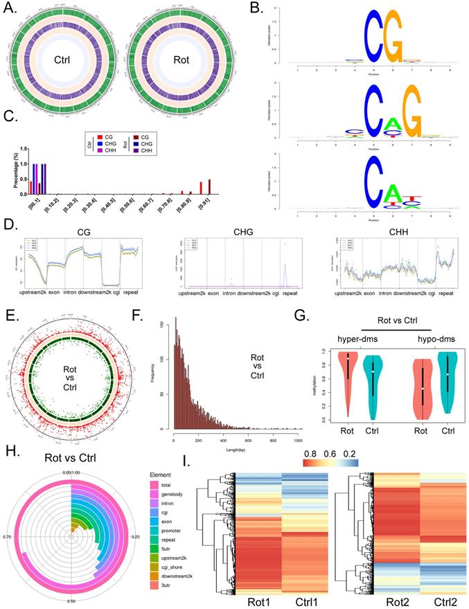 Int J Med Sci Image