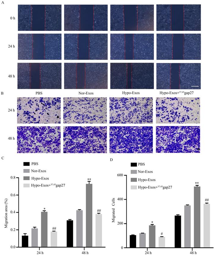 Int J Med Sci Image