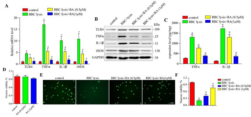 Int J Med Sci Image