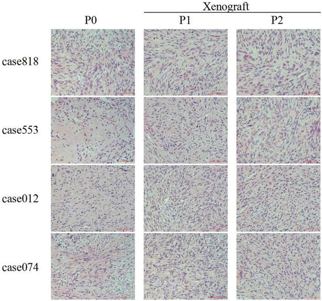 Int J Med Sci Image