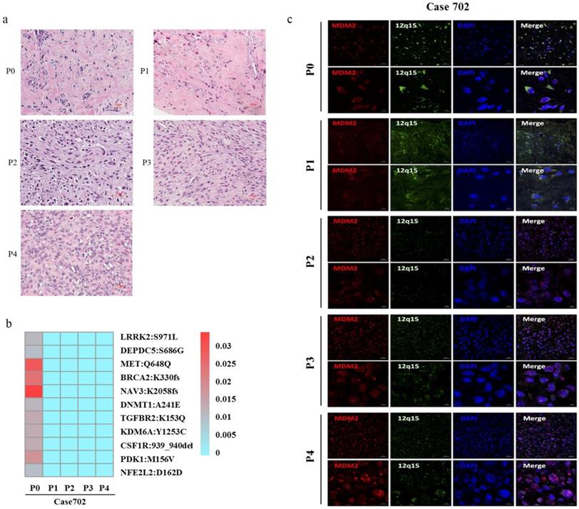 Int J Med Sci Image