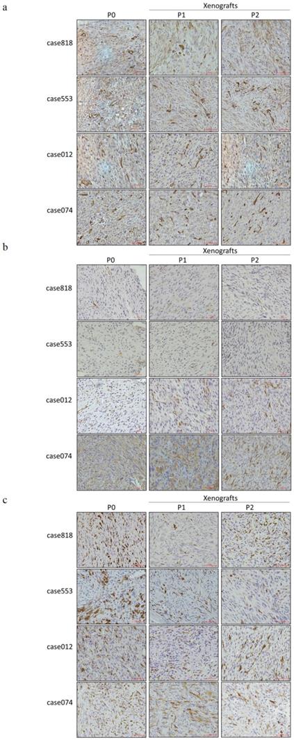 Int J Med Sci Image