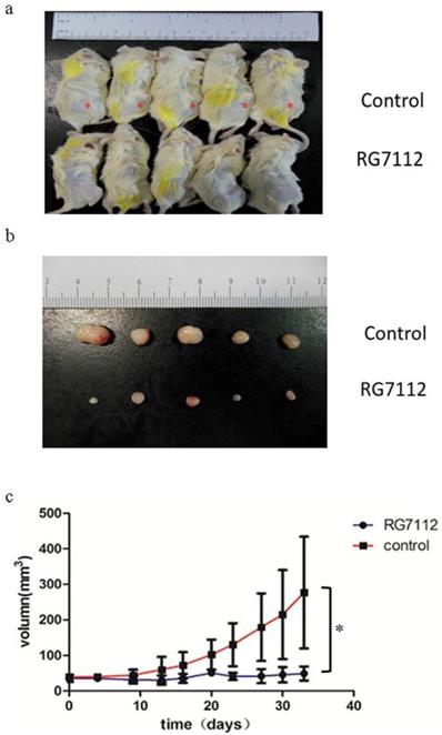 Int J Med Sci Image