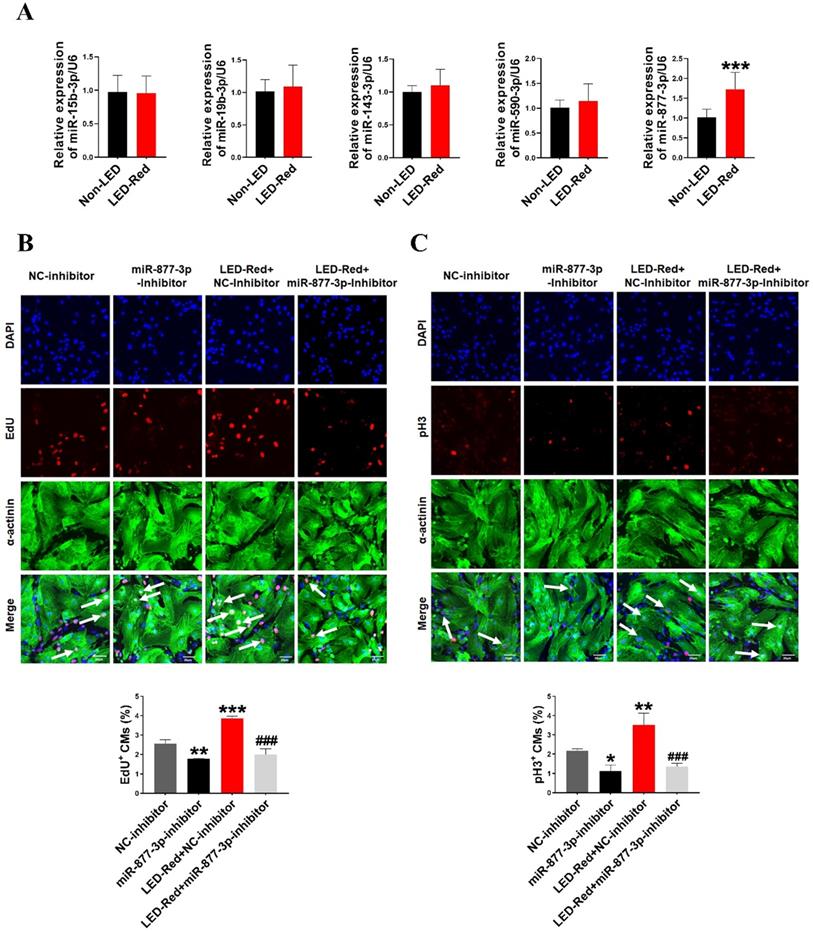 Int J Med Sci Image