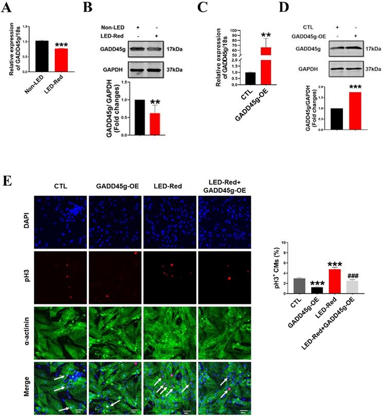 Int J Med Sci Image