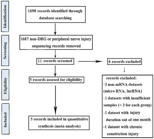 Int J Med Sci Image