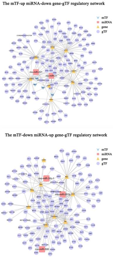 Int J Med Sci Image