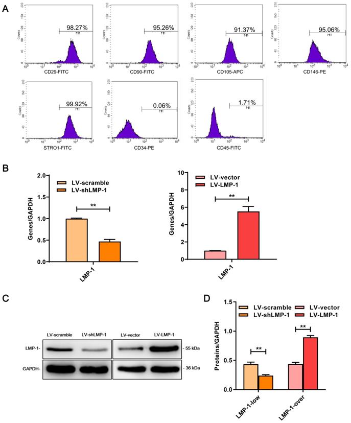 Int J Med Sci Image