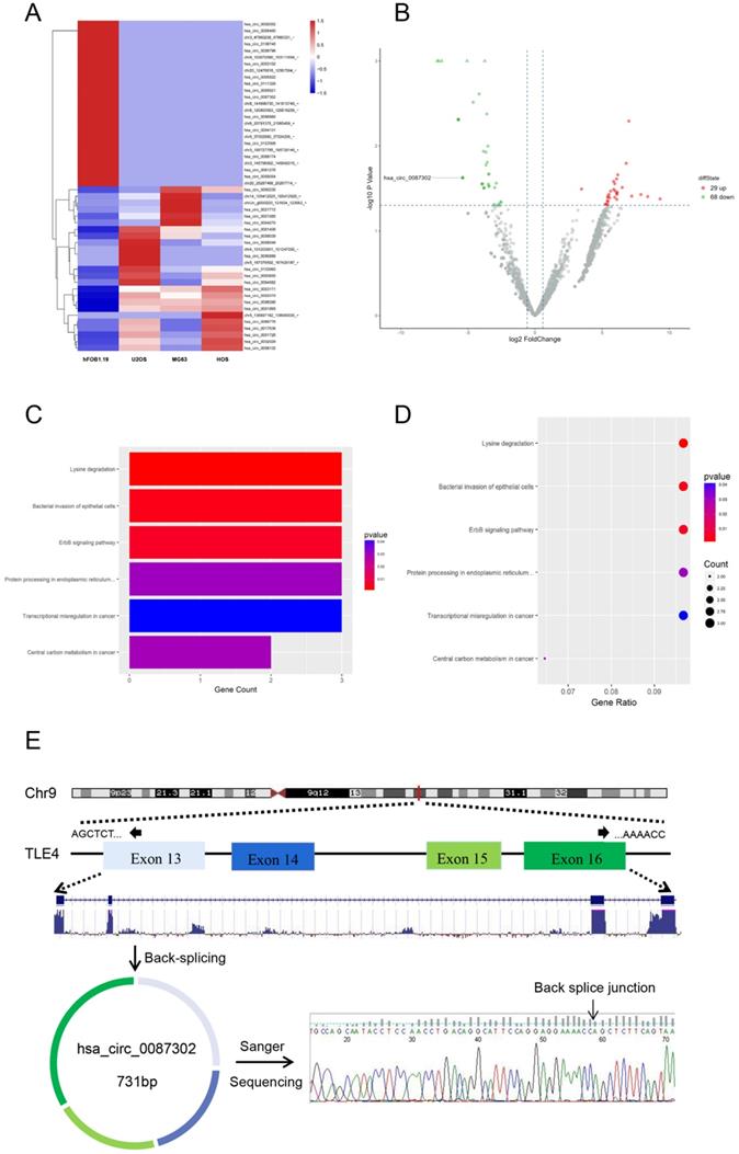 Int J Med Sci Image