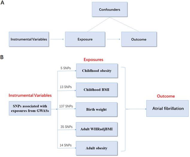 Int J Med Sci Image