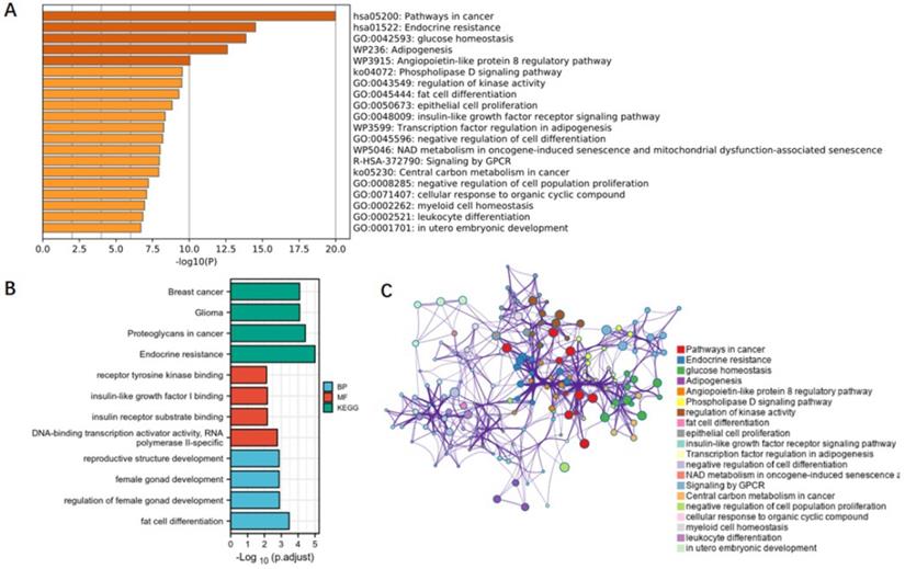 Int J Med Sci Image