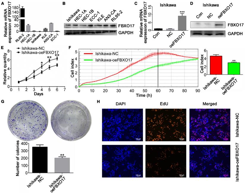 Int J Med Sci Image