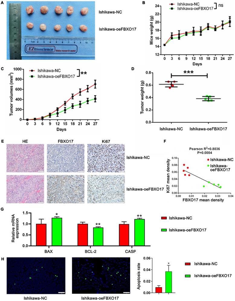 Int J Med Sci Image