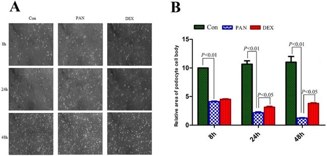 Int J Med Sci Image