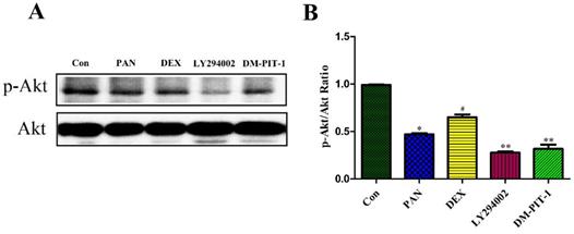 Int J Med Sci Image