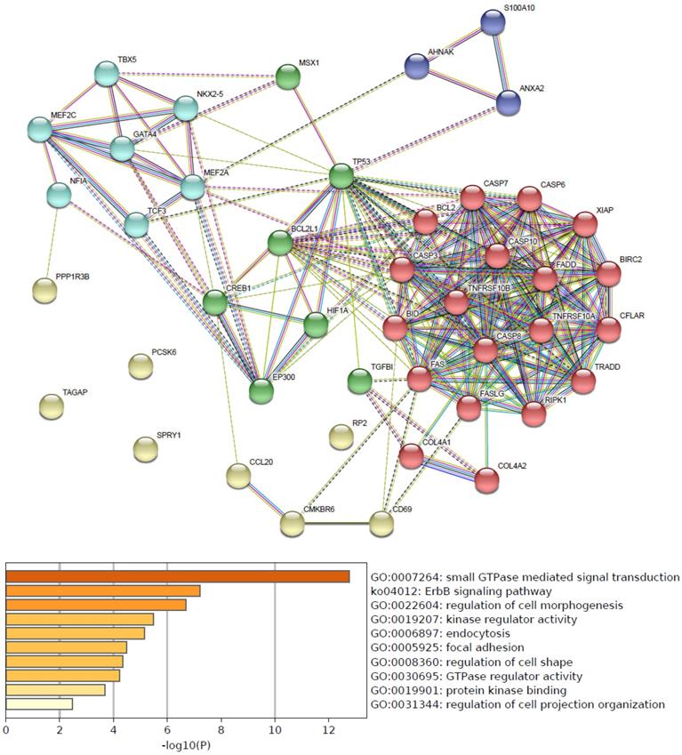 Int J Med Sci Image