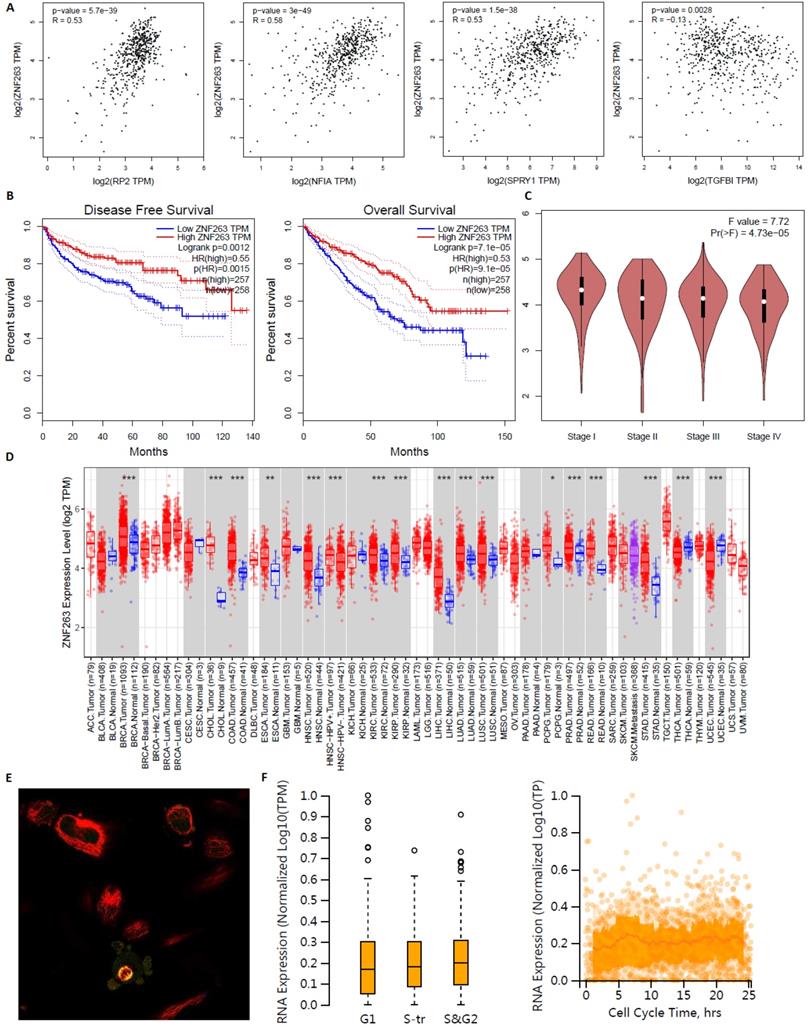 Int J Med Sci Image